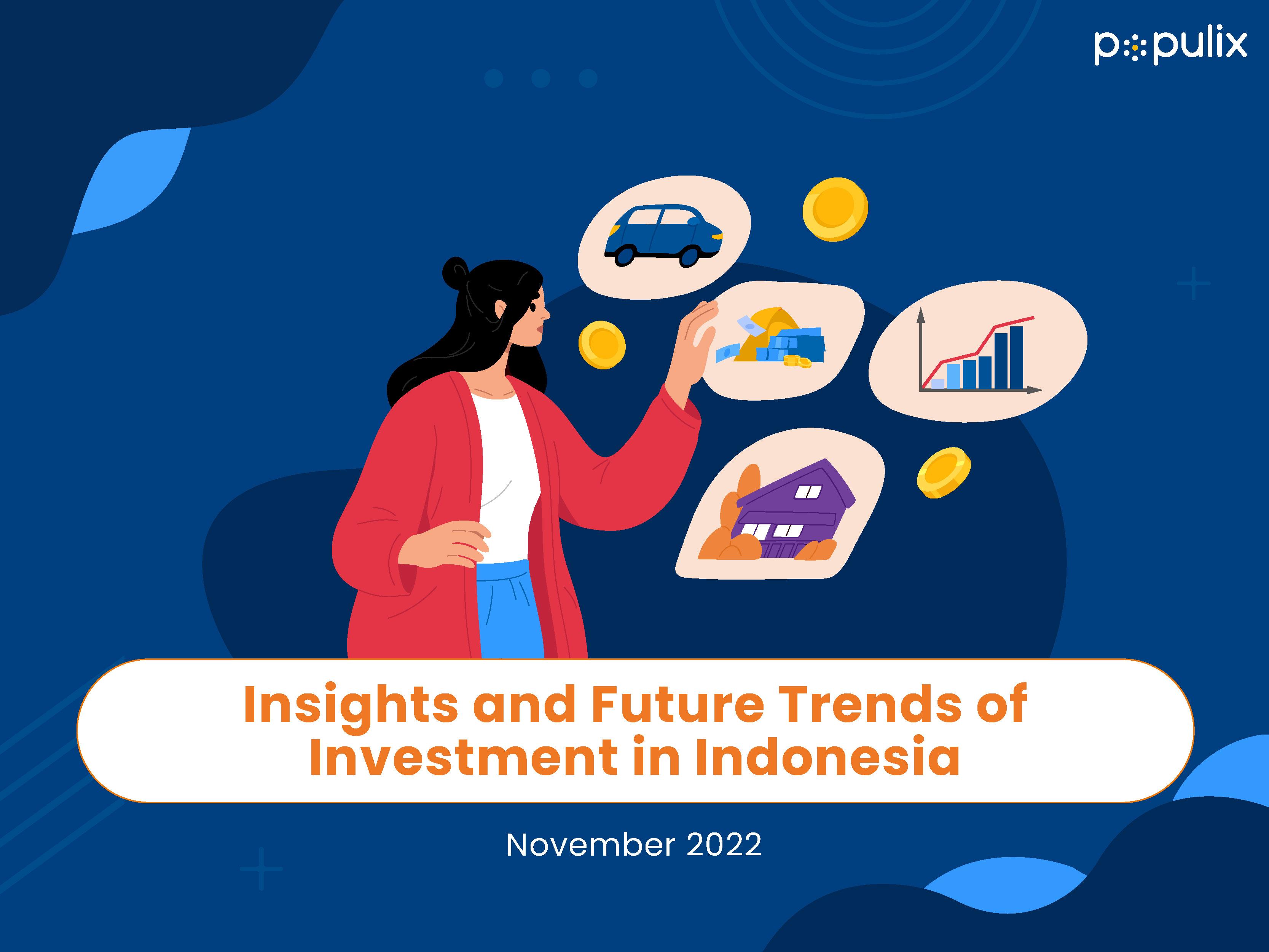 Insights and Future Trends of Investment in Indonesia